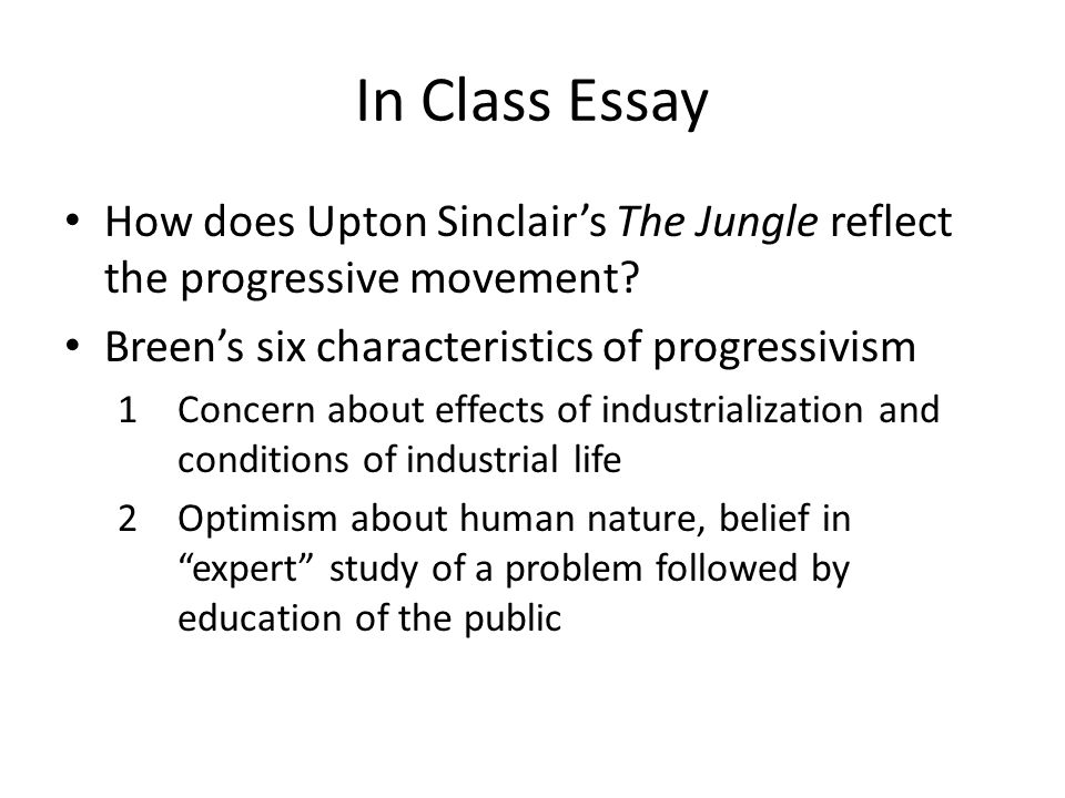 Essay on Progressivism
